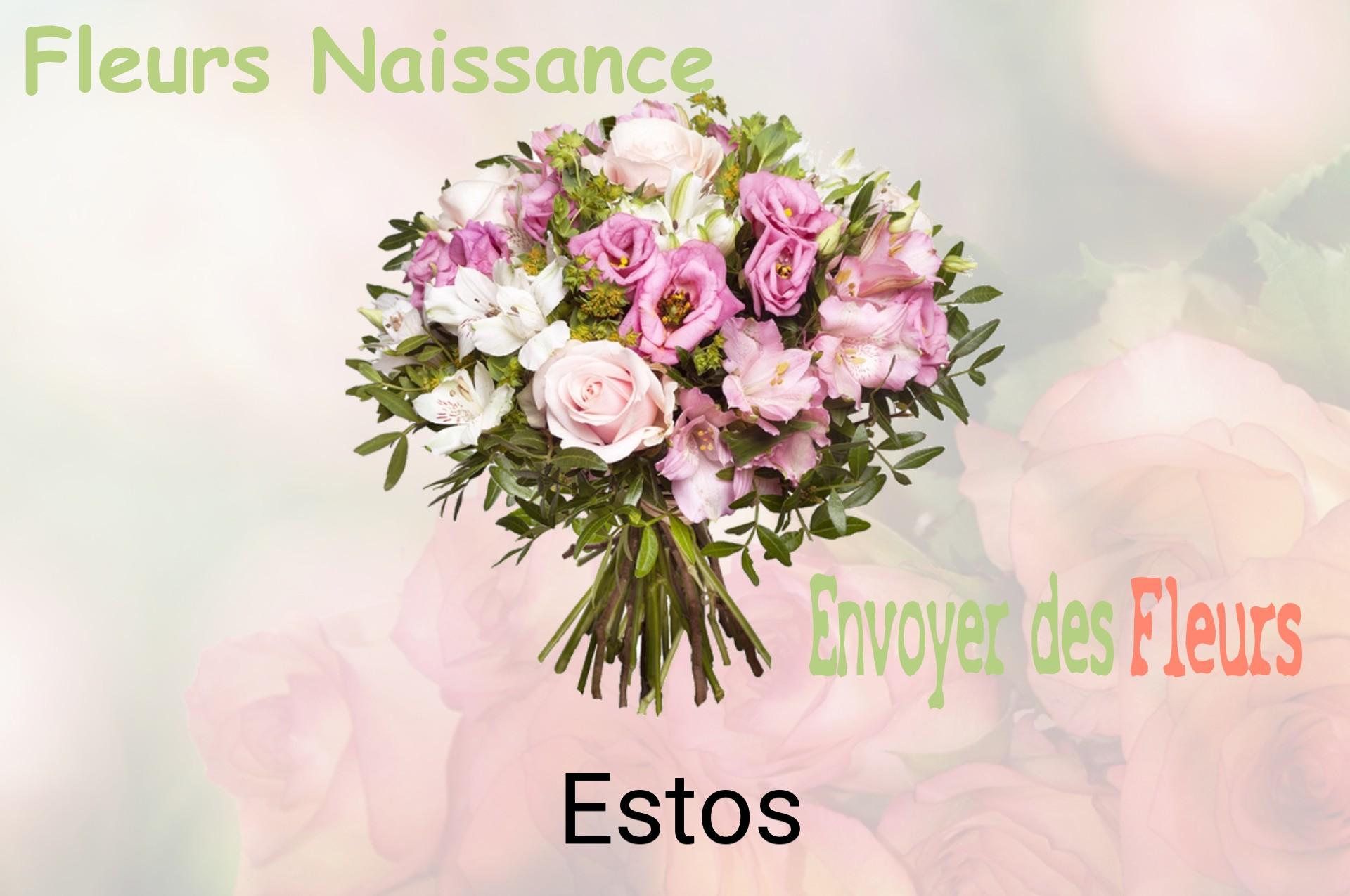 Bouquet de fleurs de naissance livré à Estos